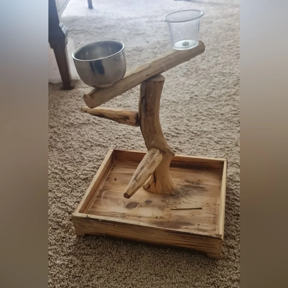 Bird Cage and Toys